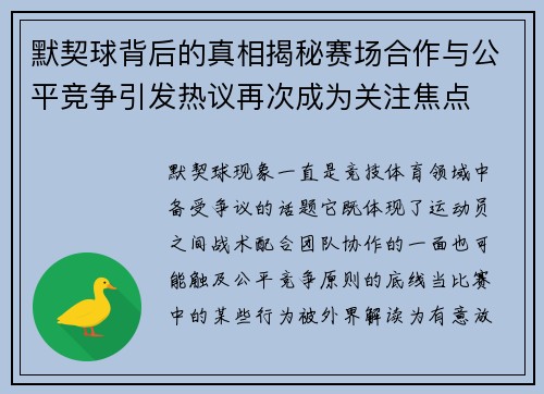 默契球背后的真相揭秘赛场合作与公平竞争引发热议再次成为关注焦点 默契球背后的真相揭秘赛场合作与公平竞争引发热议再次成为关注焦点